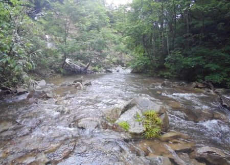 大増水の渓流で苦戦 ～長良川水系～